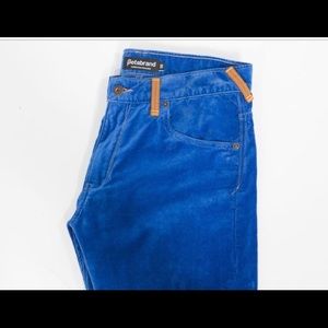 Betabrand Blue Velvet Sons of Britches Trousers.